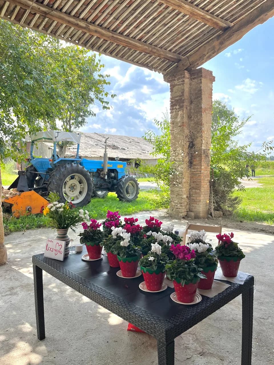 Villa Cogo Malaspina