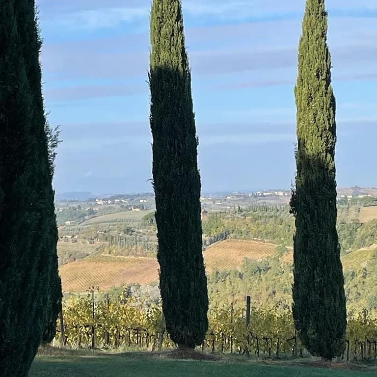 Villa Panconesi