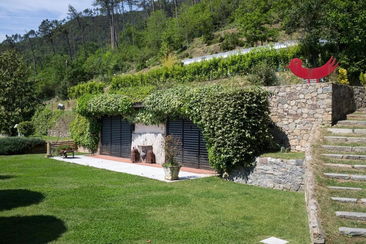 Villa Rea