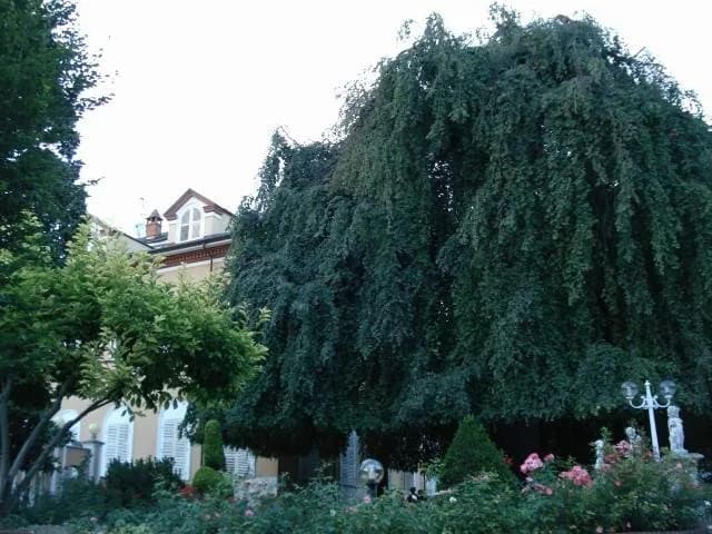 Villa Salzea