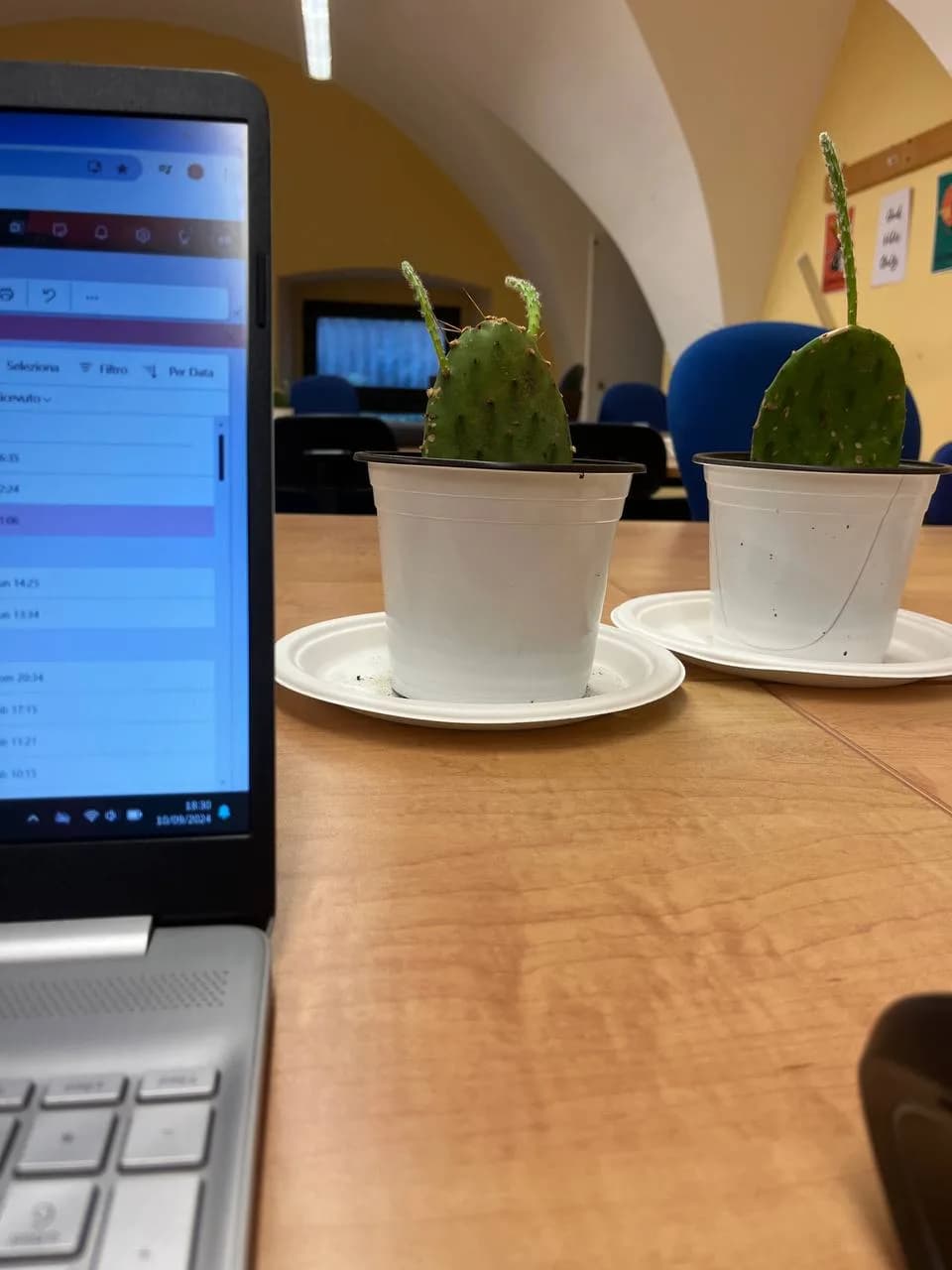 Your Space Coworking Area