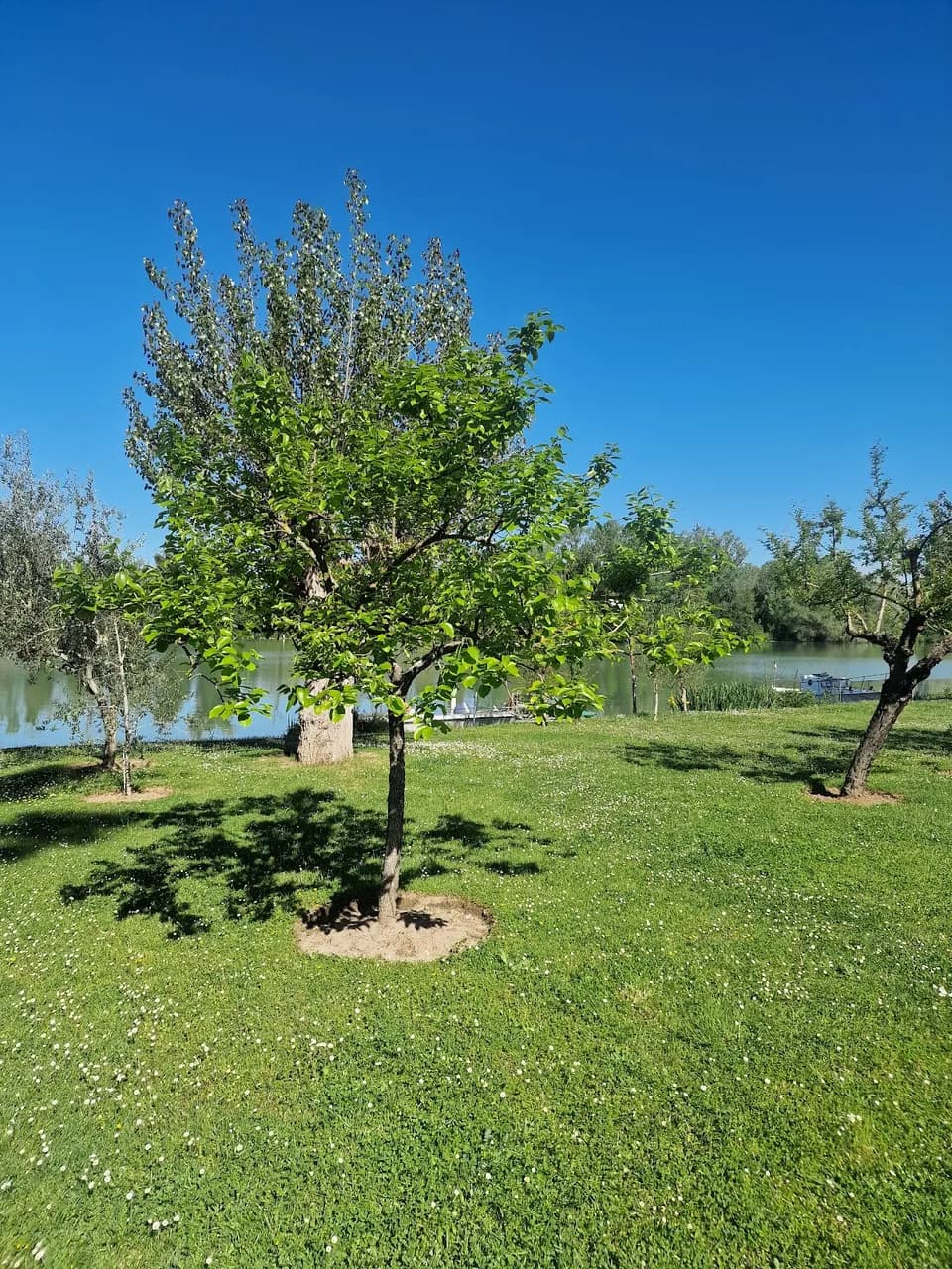 Riva Poolevents
