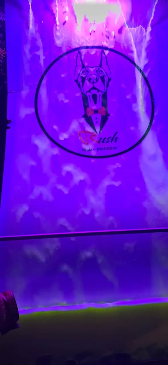 Rush Club
