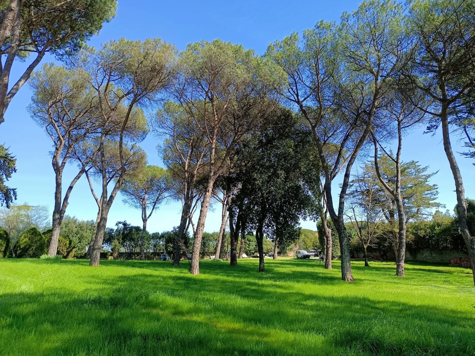 Villa Majestic