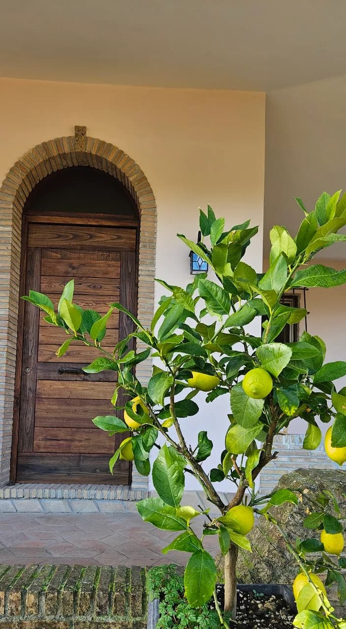 Tenuta di Monte Gemini