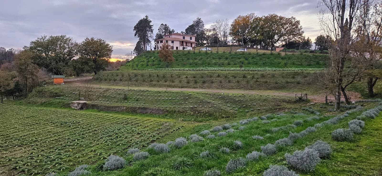 Tenuta di Monte Gemini
