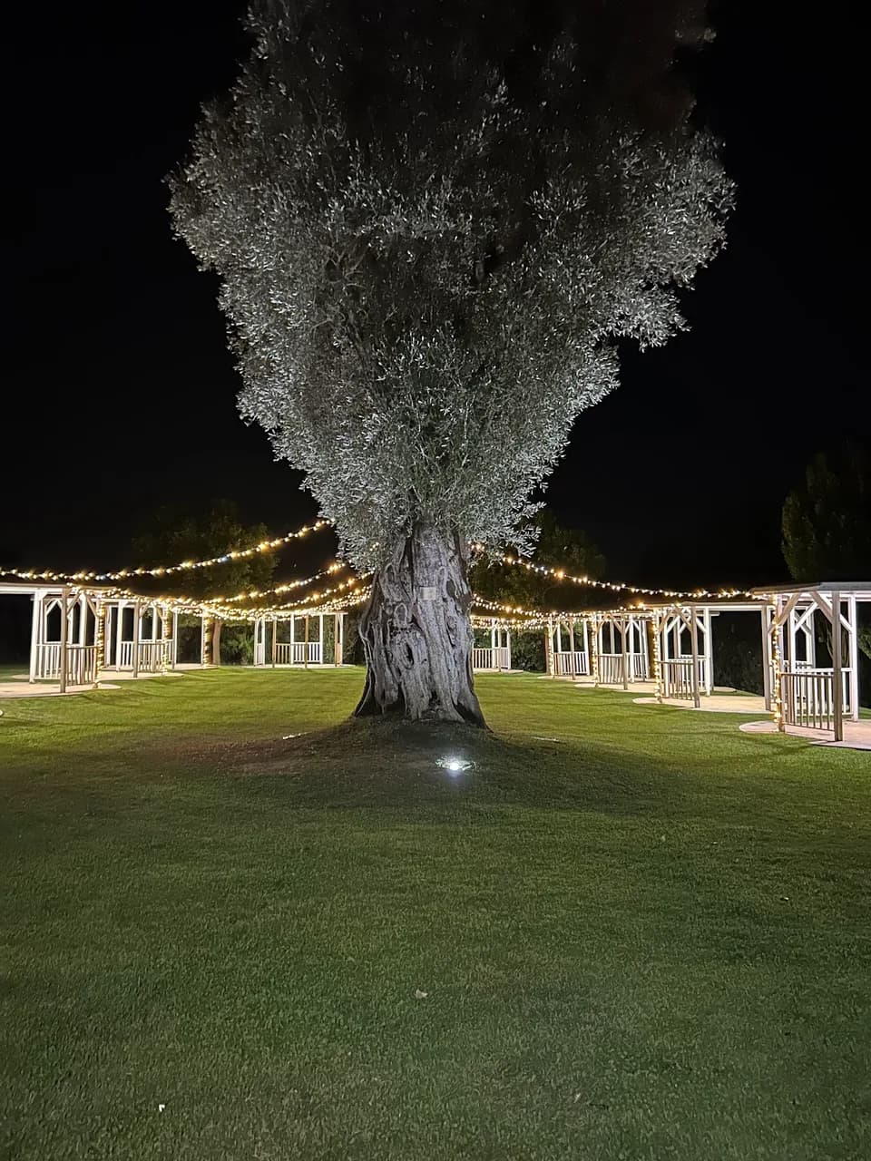 Villa i 4 Ricci