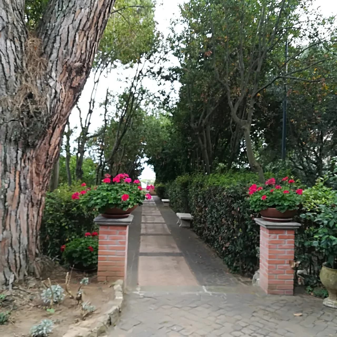 Villa dei Volsci