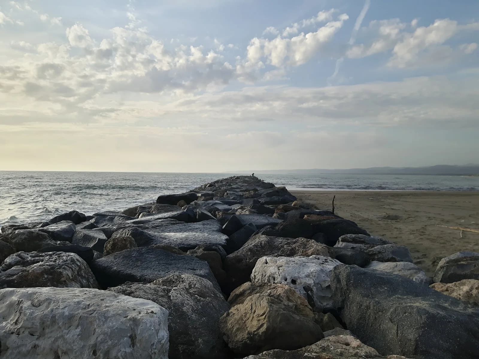 Torre Flavia