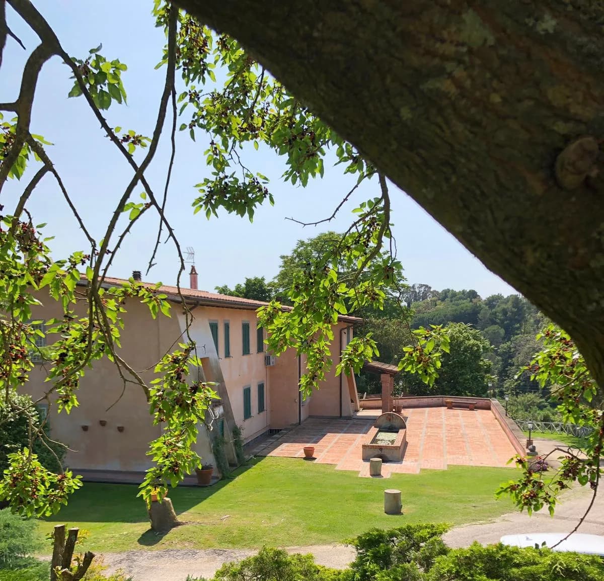 Casale Crisalma