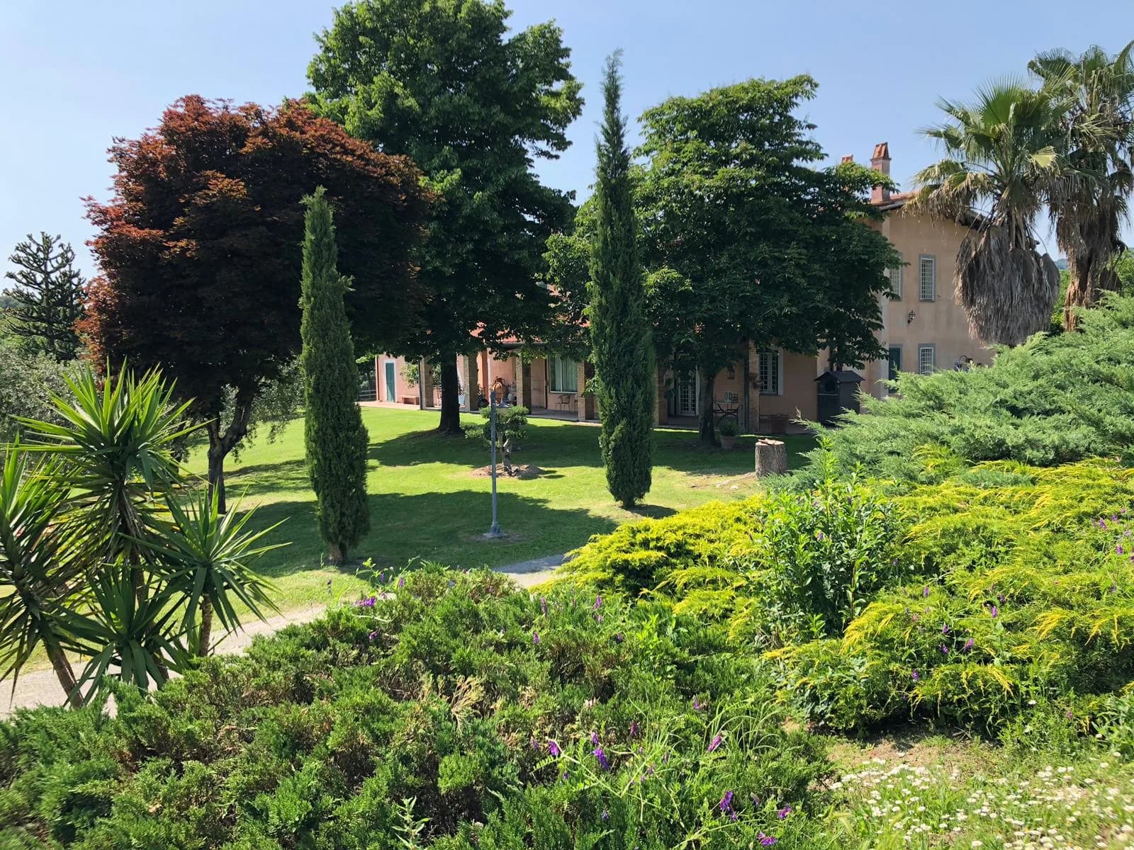 Casale Crisalma