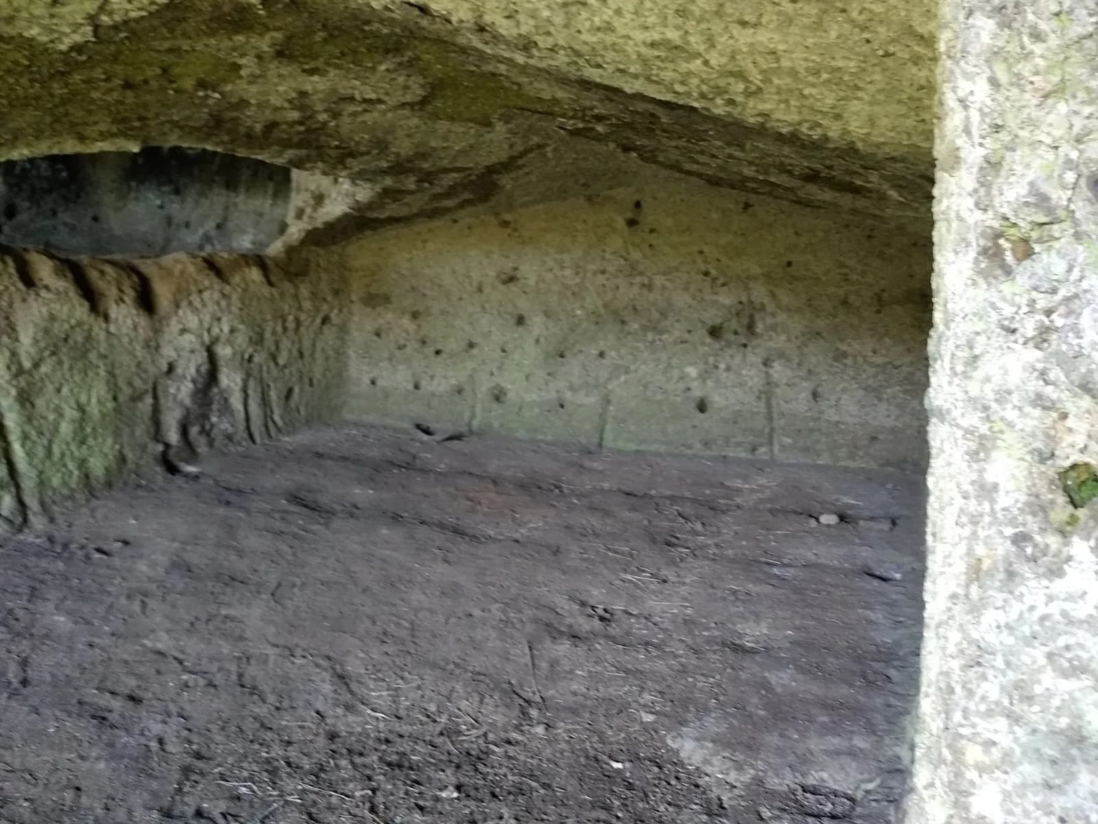 Fosso della Mola