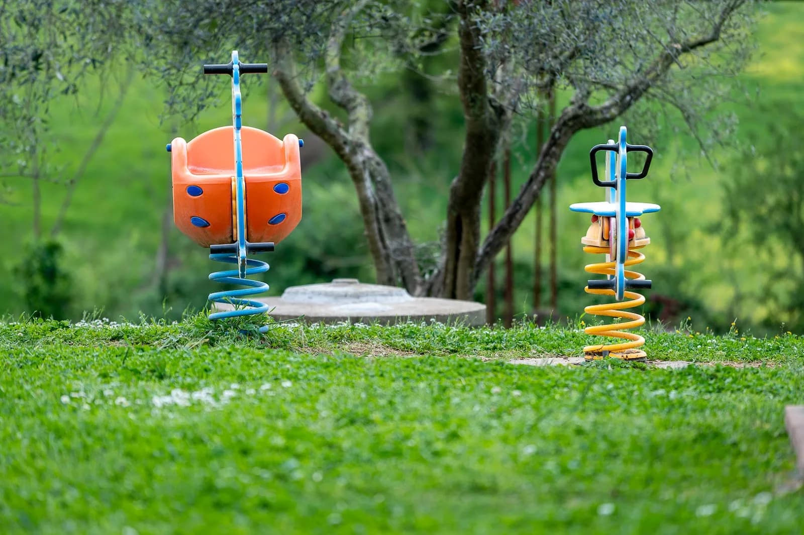 Agriturismo Poggio dei Cavalieri