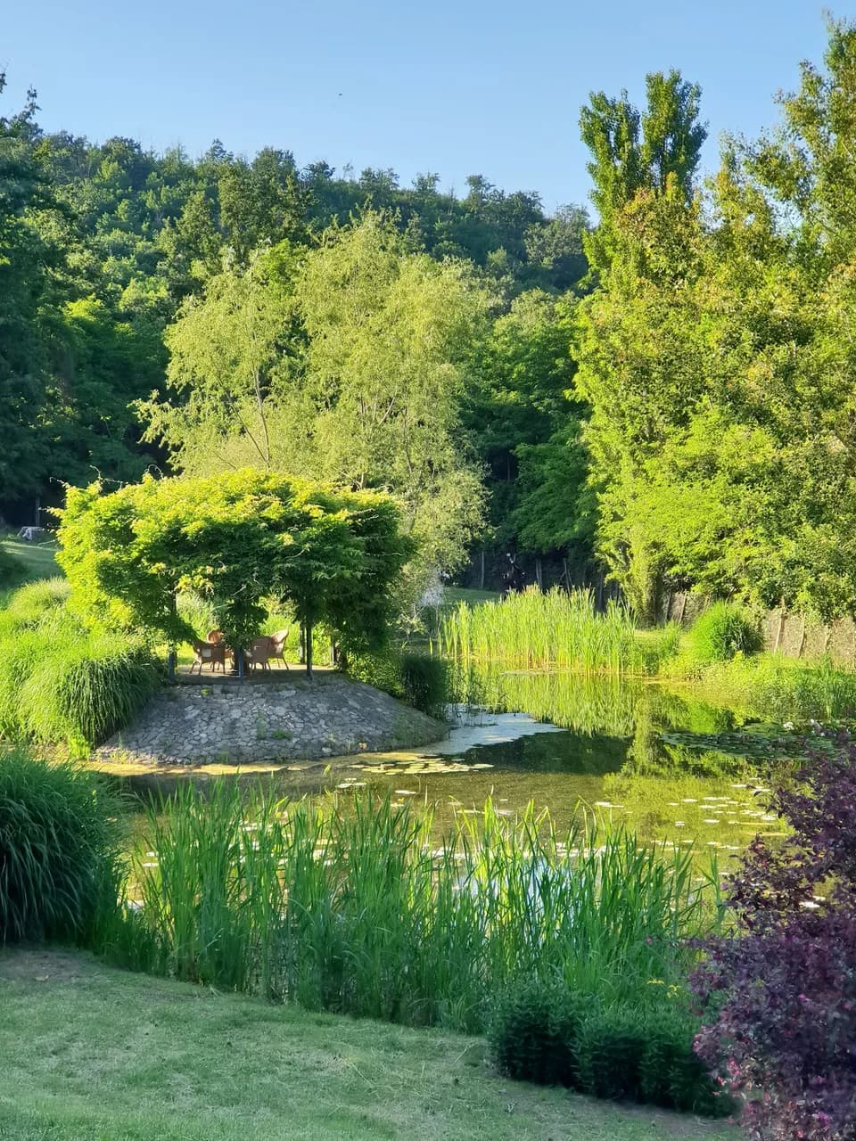 Tenuta San Liberato