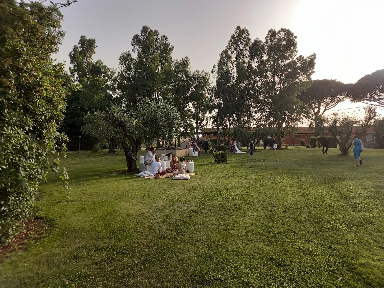 Tenuta dell'Olmo