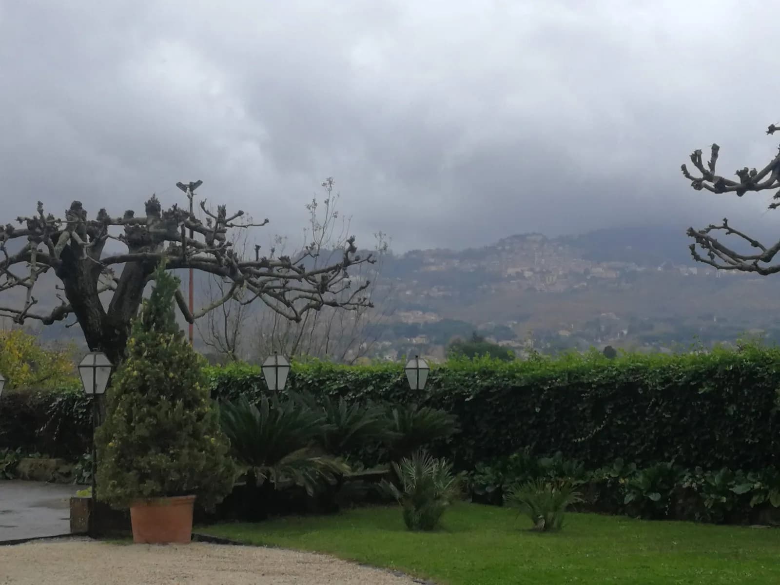Vecchio Podere