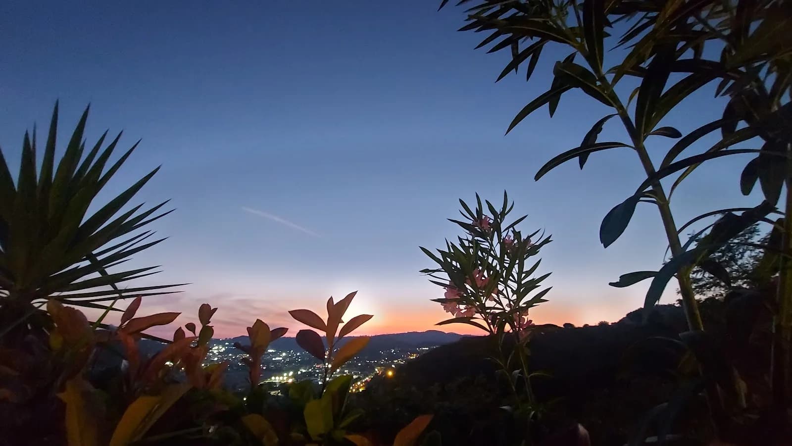 Tenuta Monte Sant'Angelo