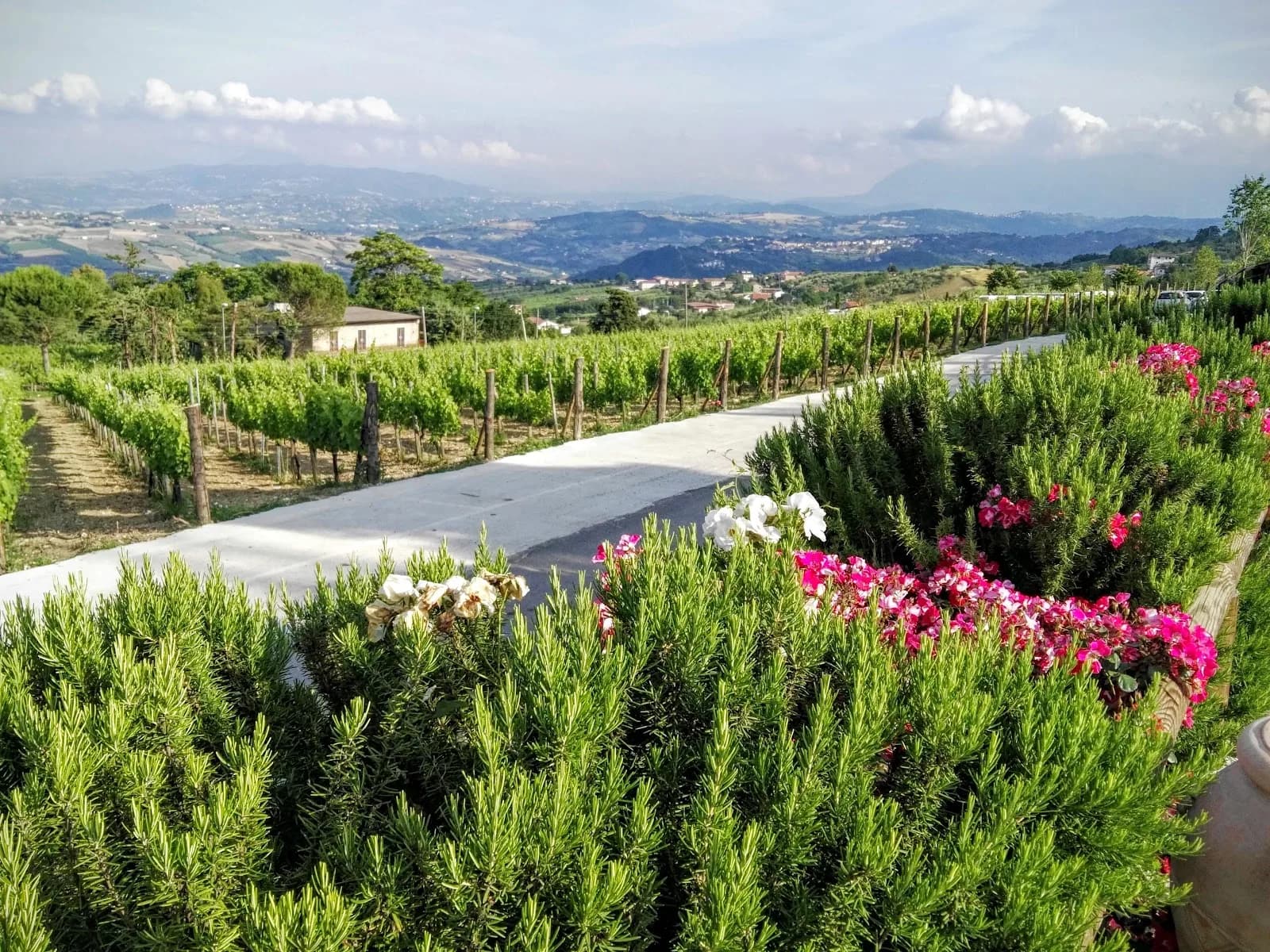 Tenuta La Fortezza
