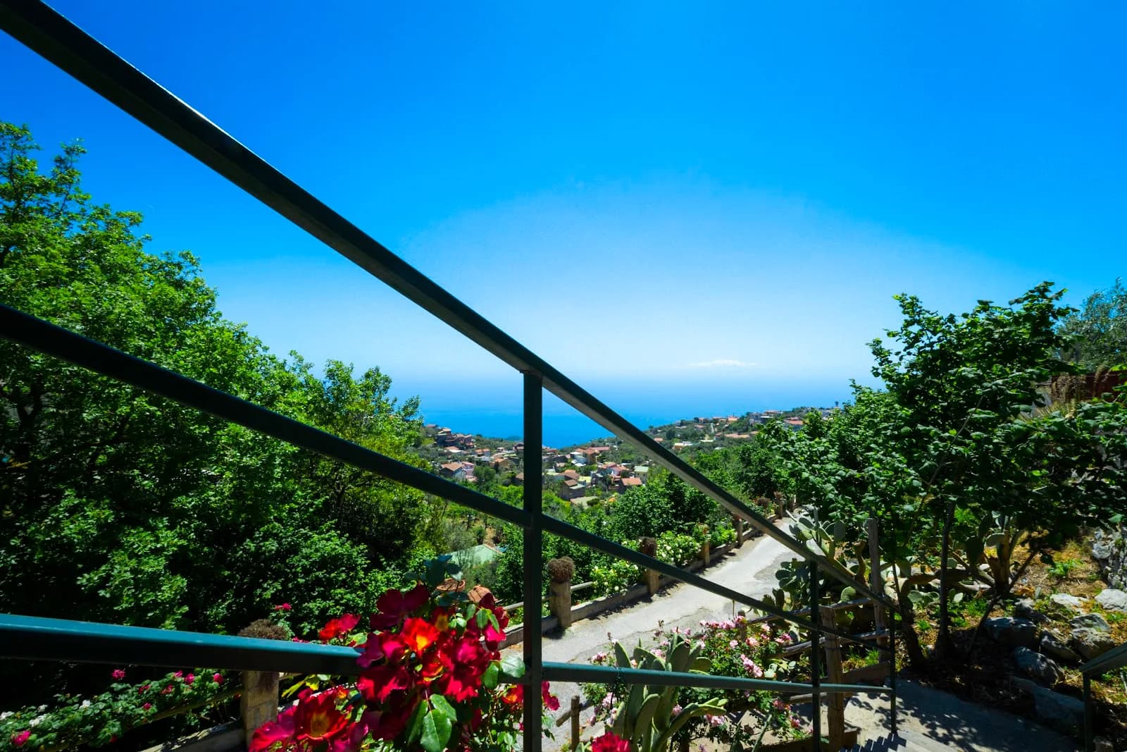 Agriturismo Fattoria Terranova
