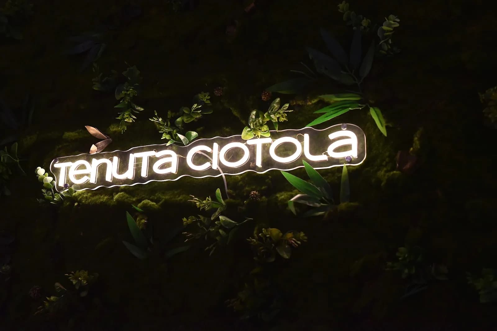 Tenuta Ciotola