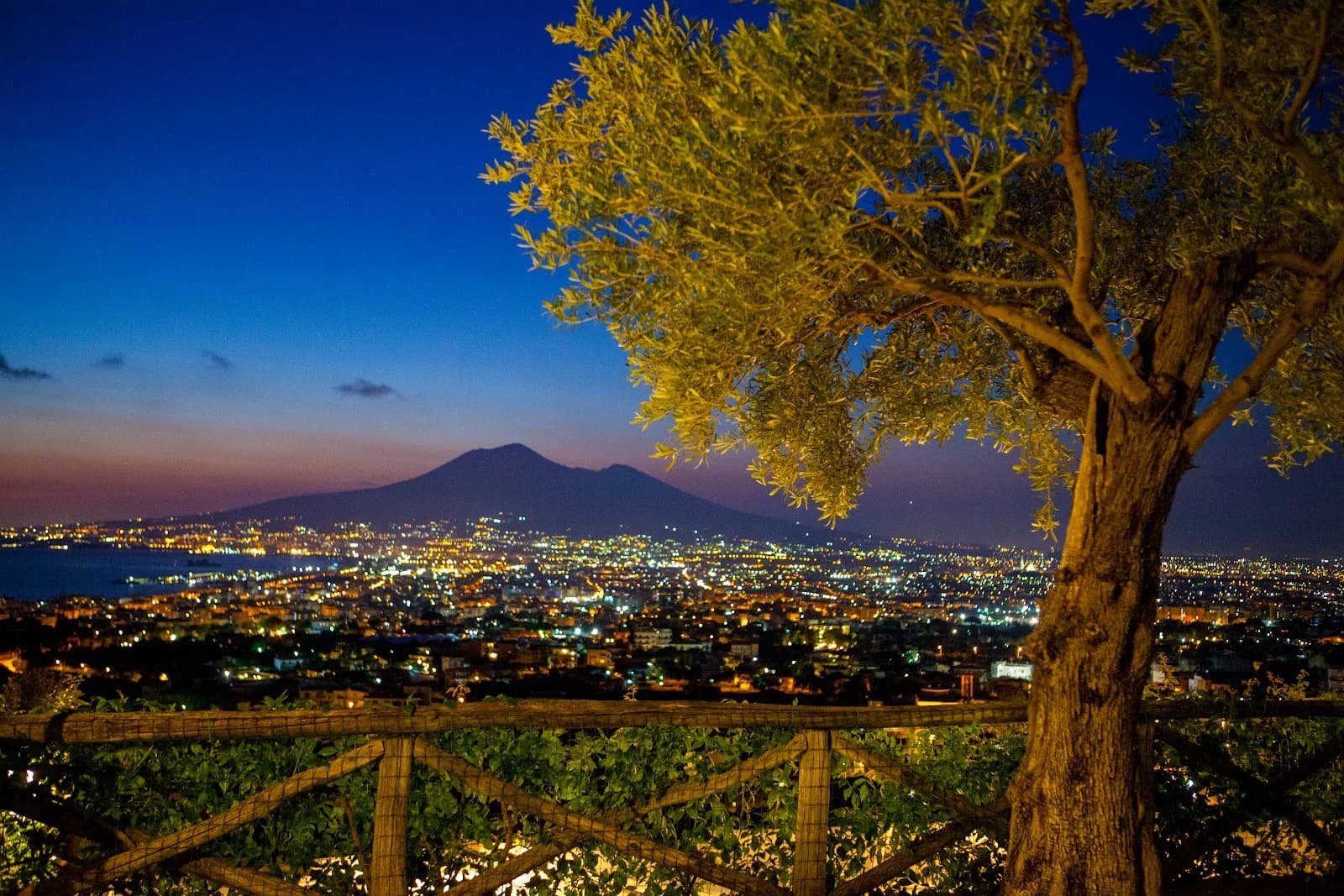 Tenuta Verdoliva