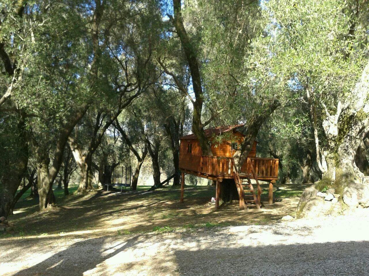 Il Piano della Corte