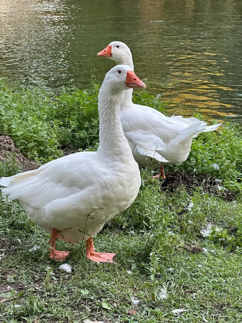 Parco del Grassano