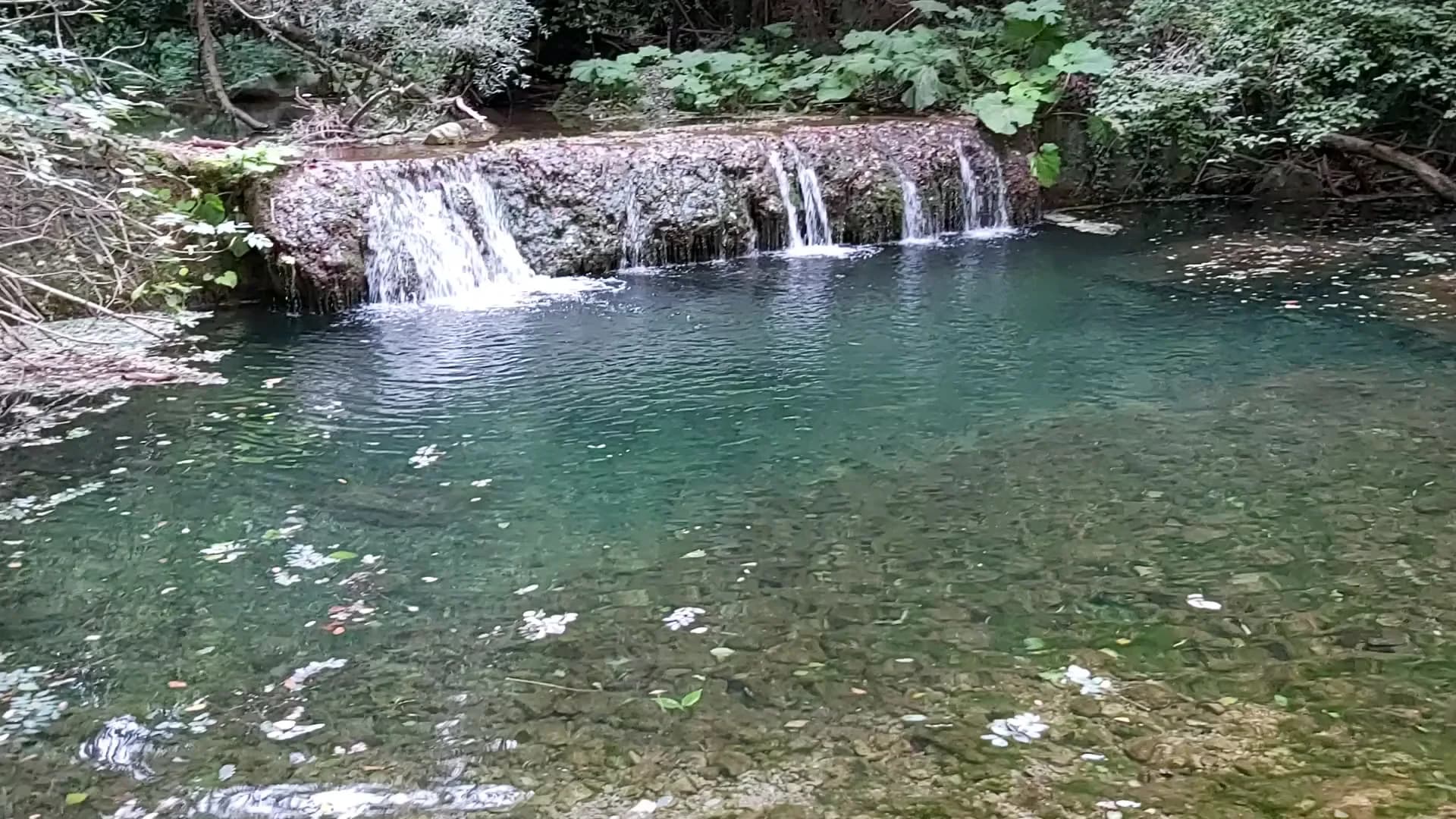Borgo Cerquelle