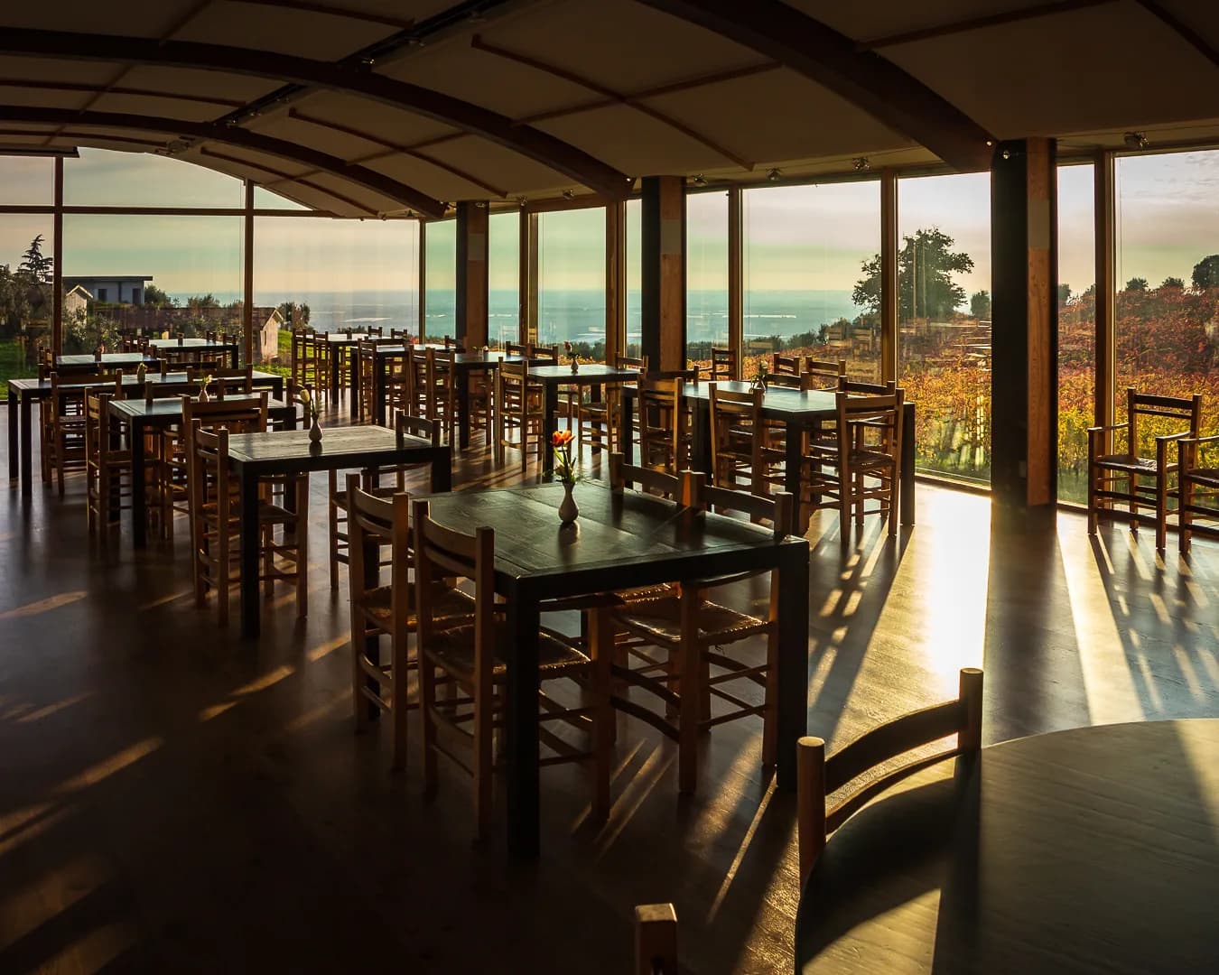 Cincinnato Wine Resort