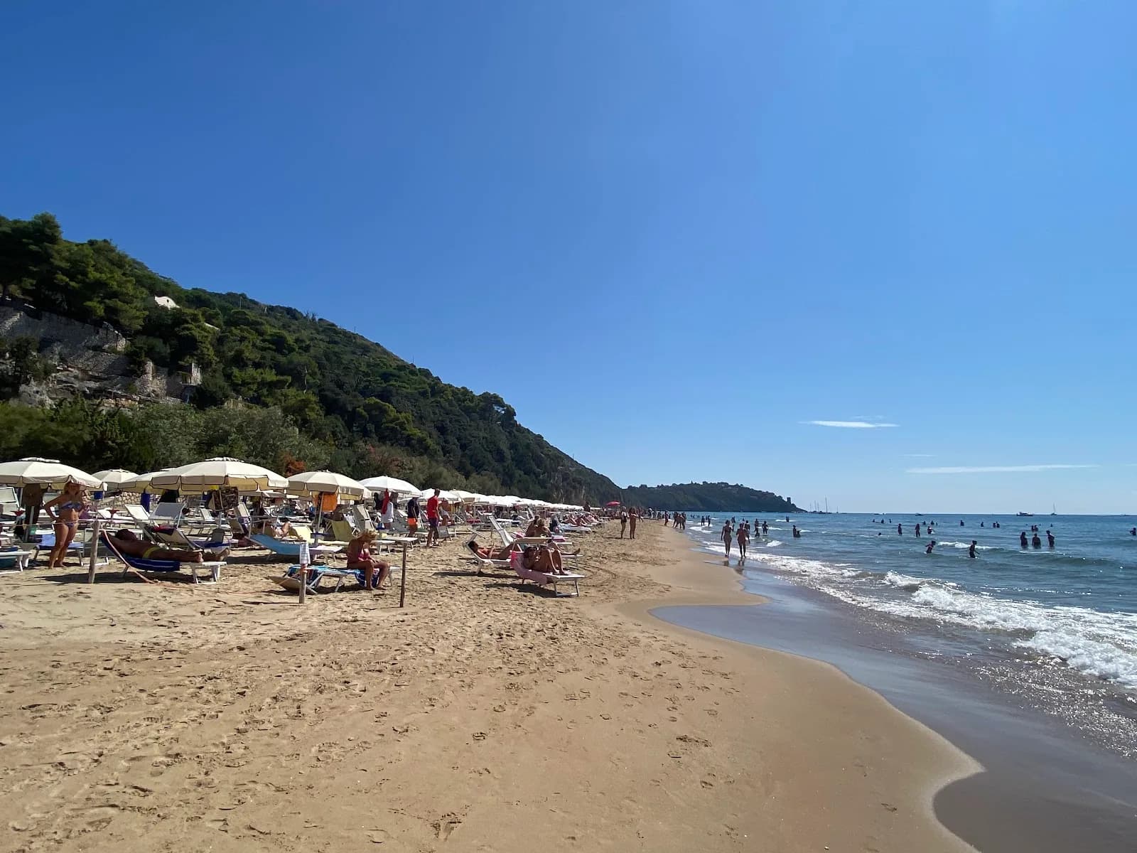 Papardò