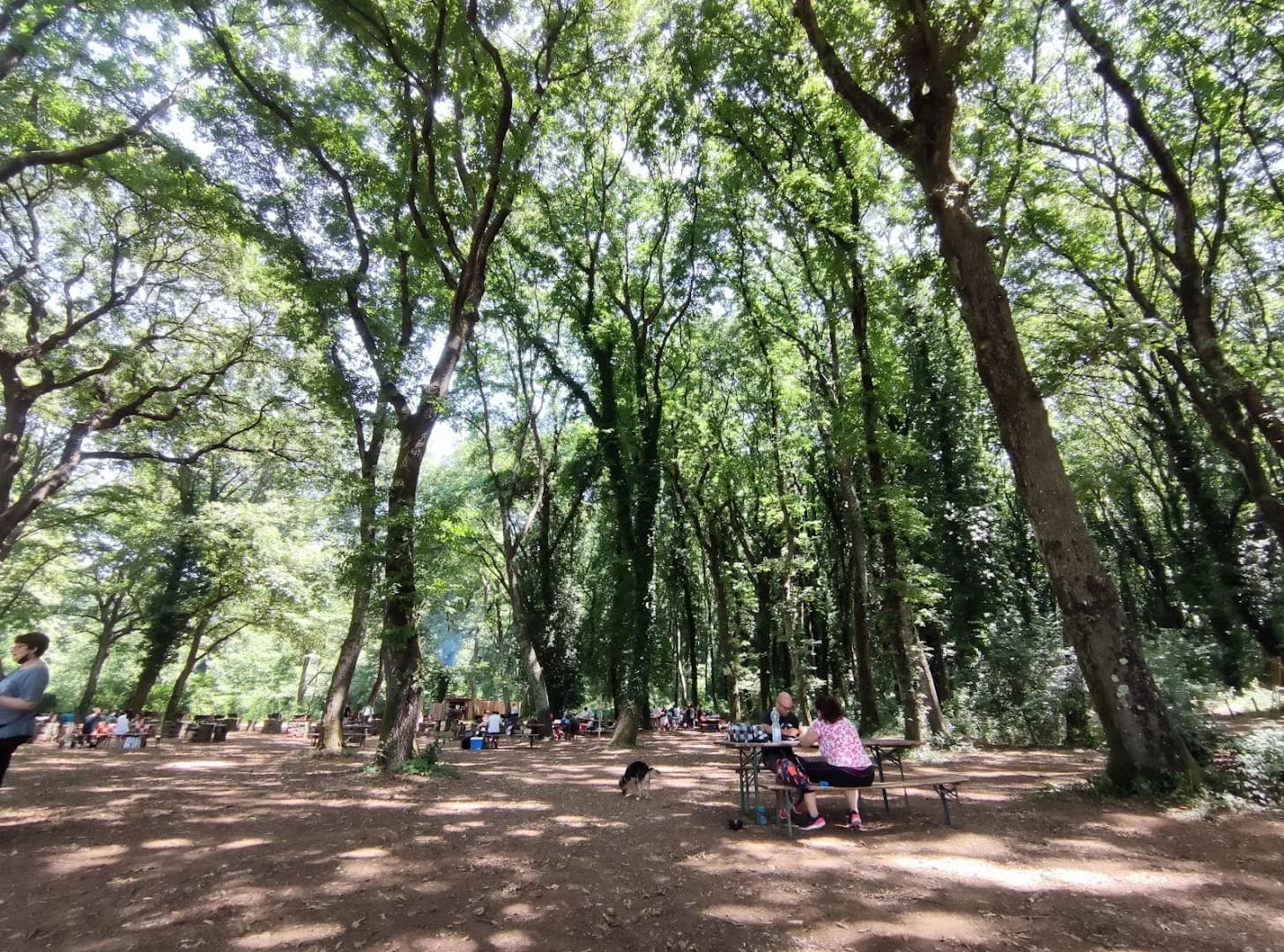 Il Bosco di Paliano