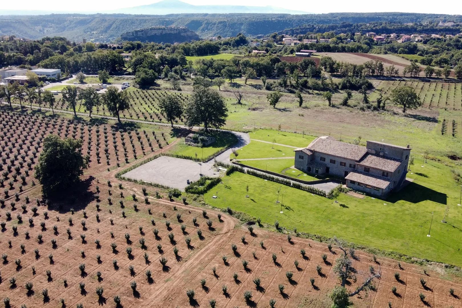 Tenuta Santa Rosa