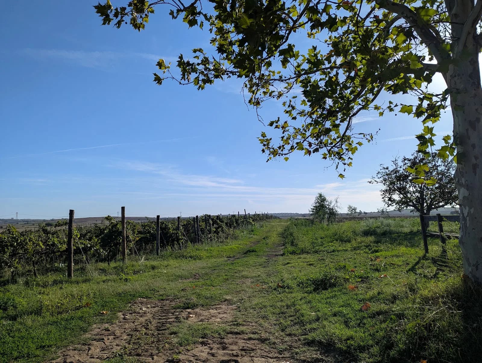 Agriturismo Valentini