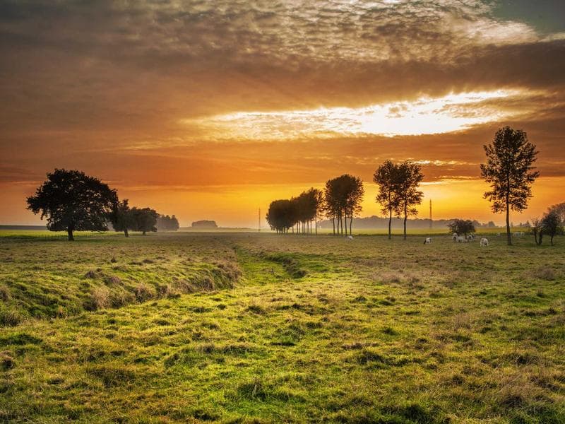 Tenuta di Fiorano - Giardino