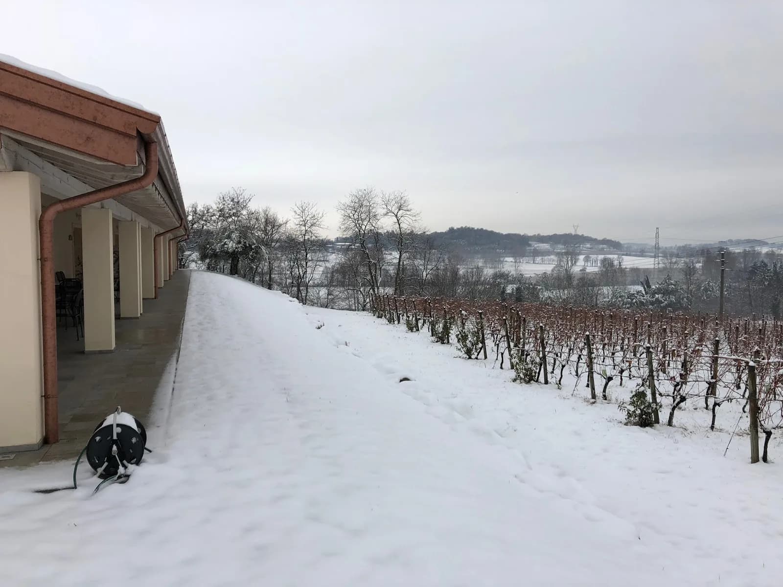 Agriturismo Colle Dei Pivi