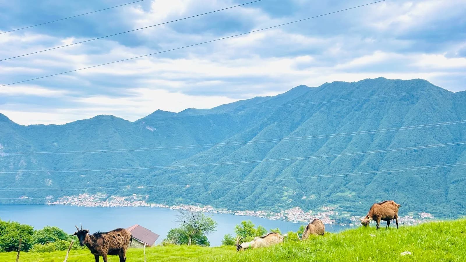 Alpe Di Sala