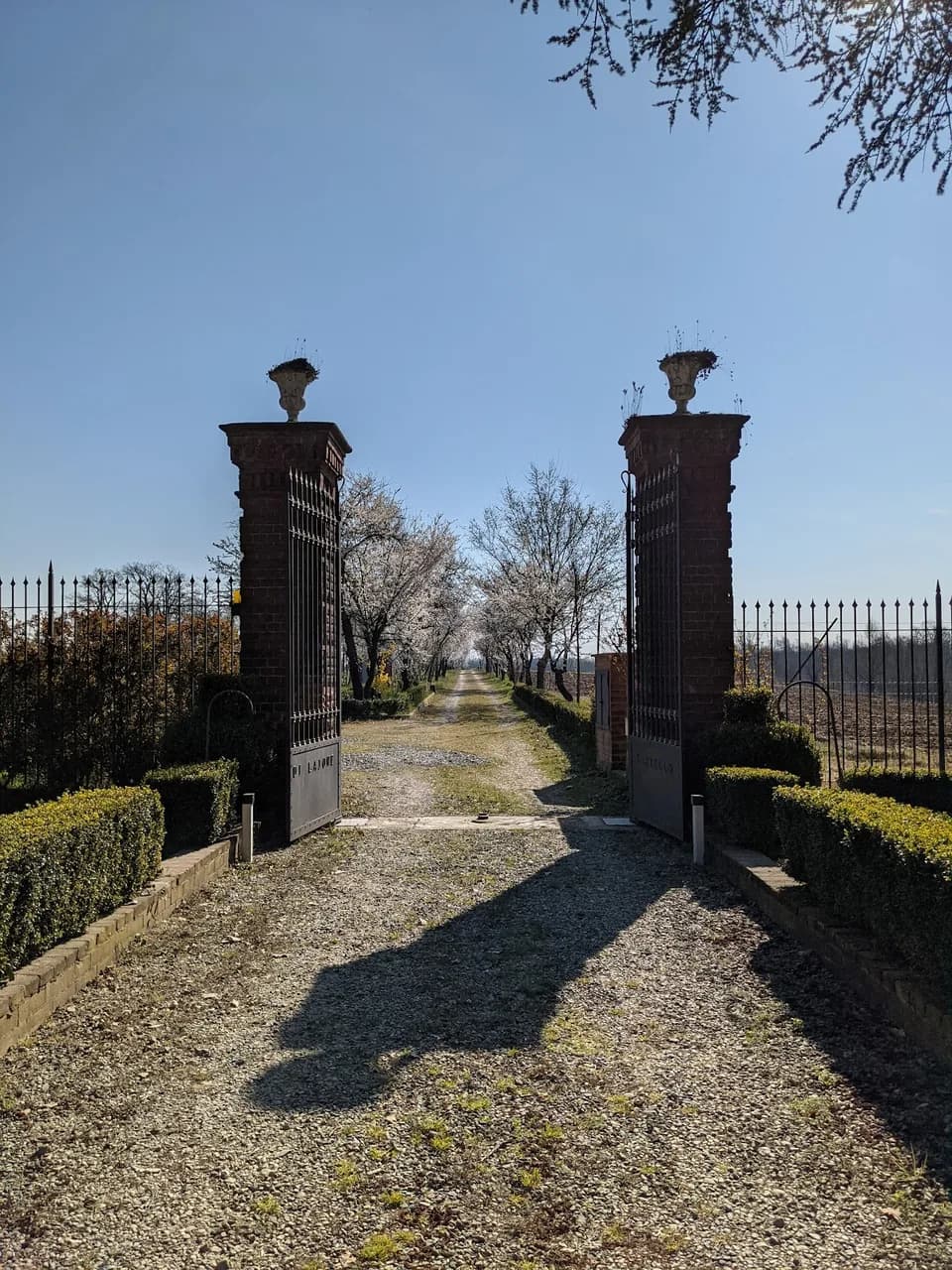 Castello Di Lajone
