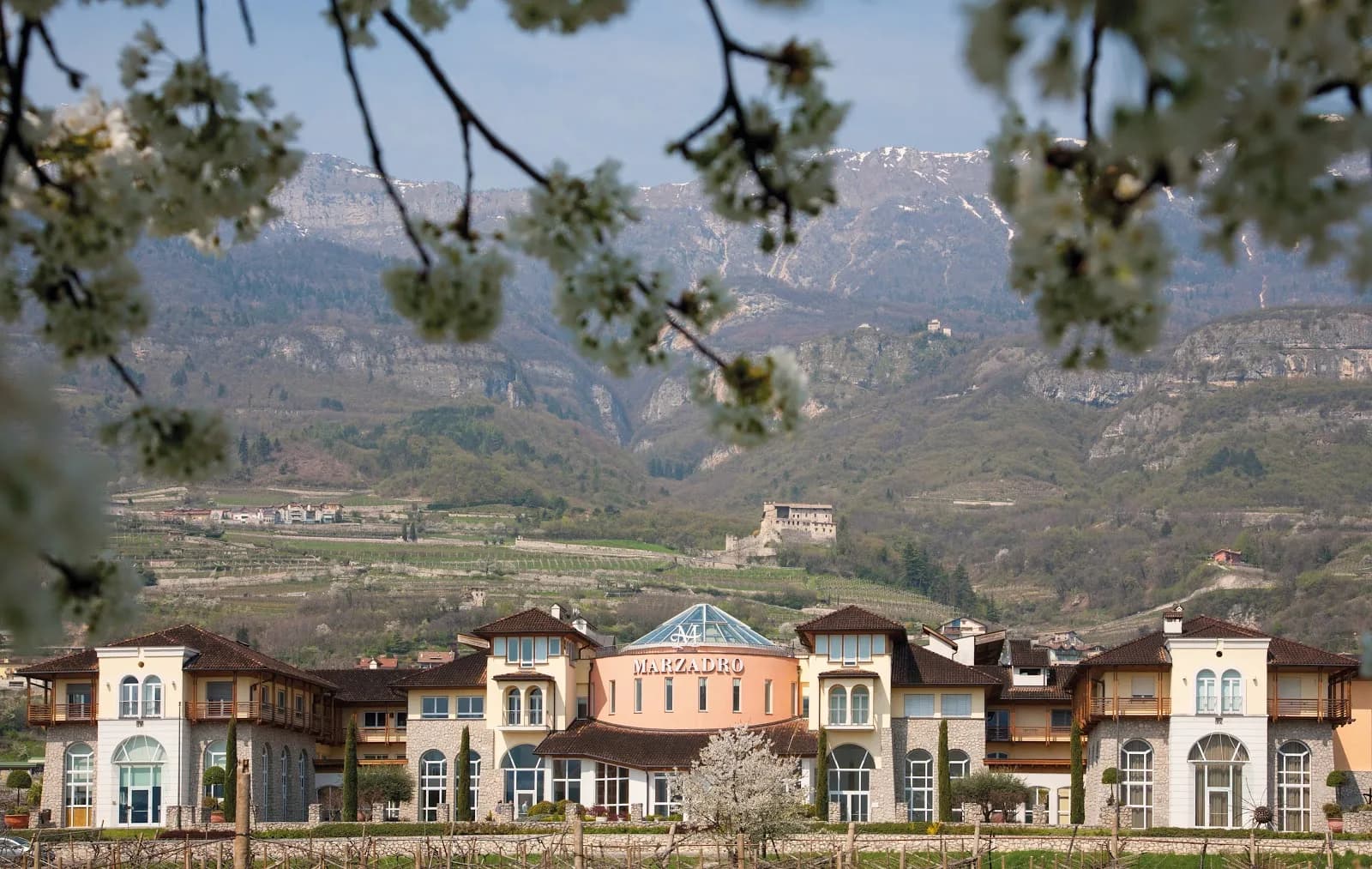 Distilleria Marzadro Location Per Eventi