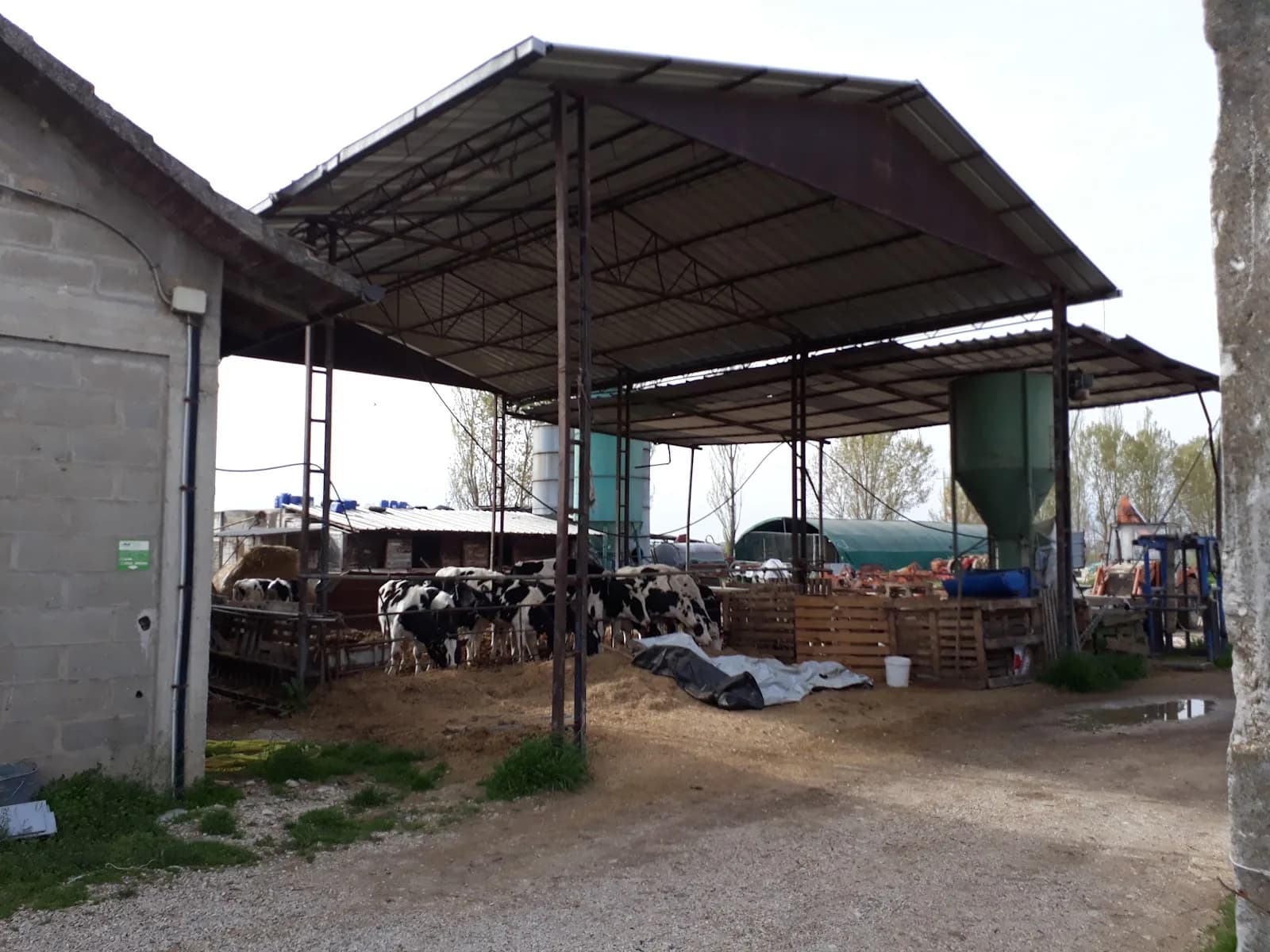 Fattoria Ascanio Cruciani