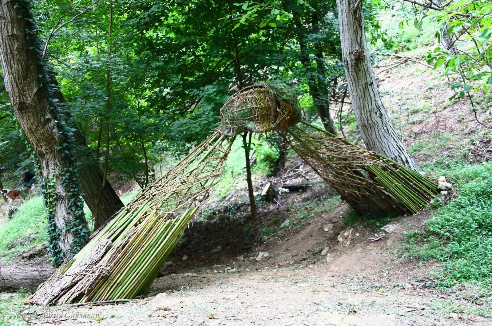 Il Bosco Dellarte