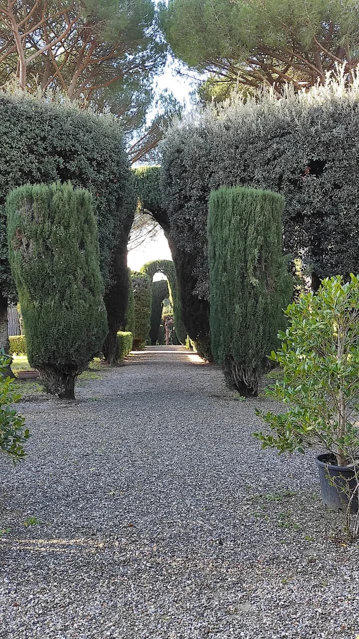 Il Giardino Sonoro Di Ghizzano
