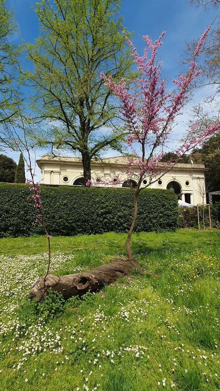 Loft La Limonaia Di Rovezzano