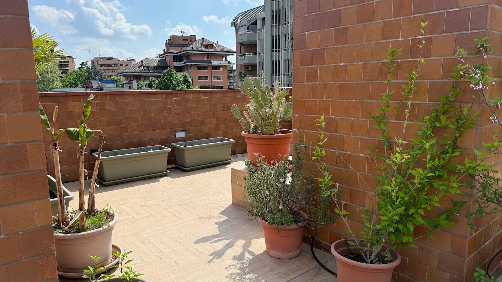 Pj Terrace