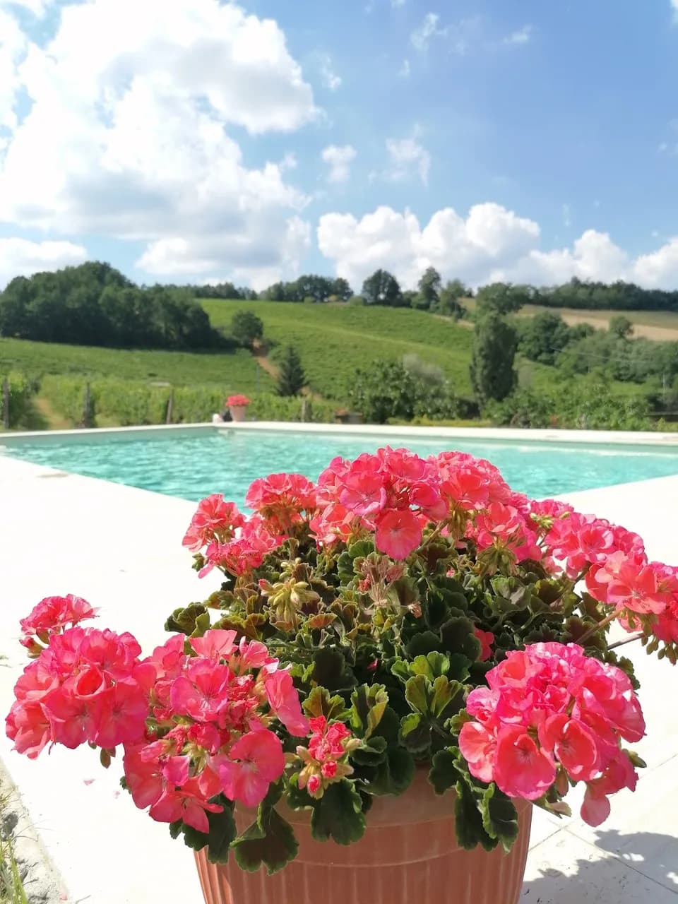 Villa Felice Cassine