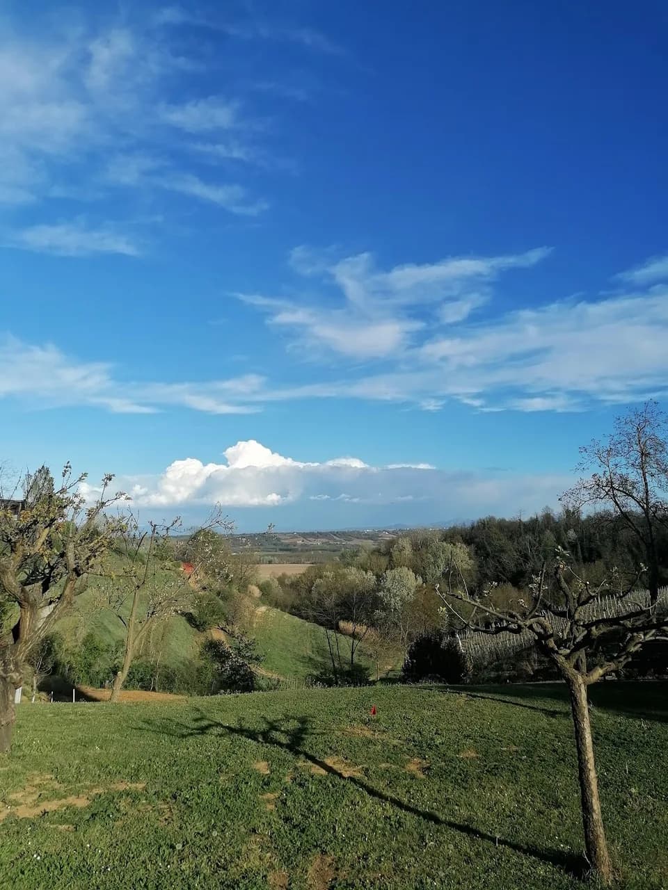 Villa Felice Cassine