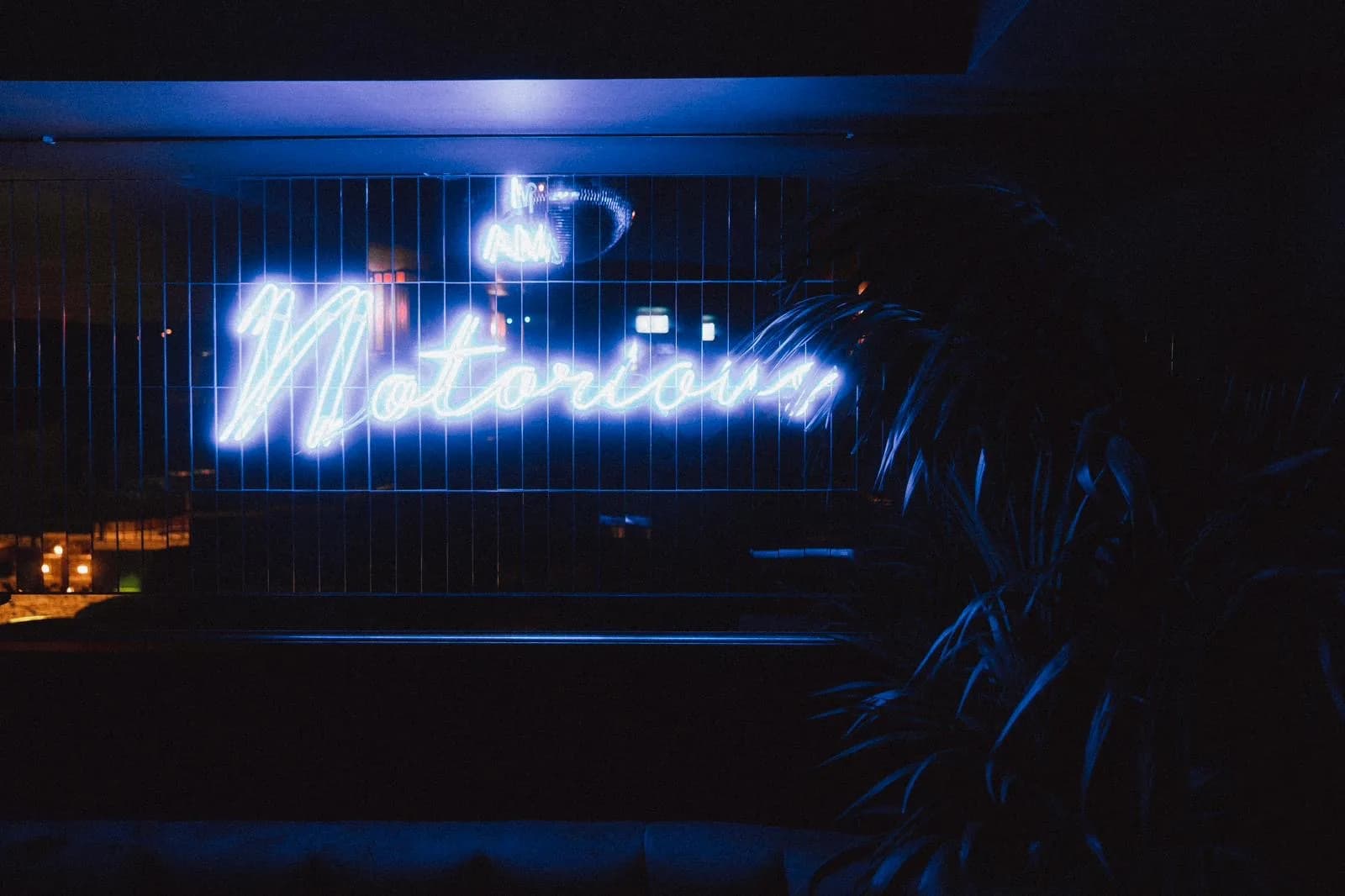 Notorious Club