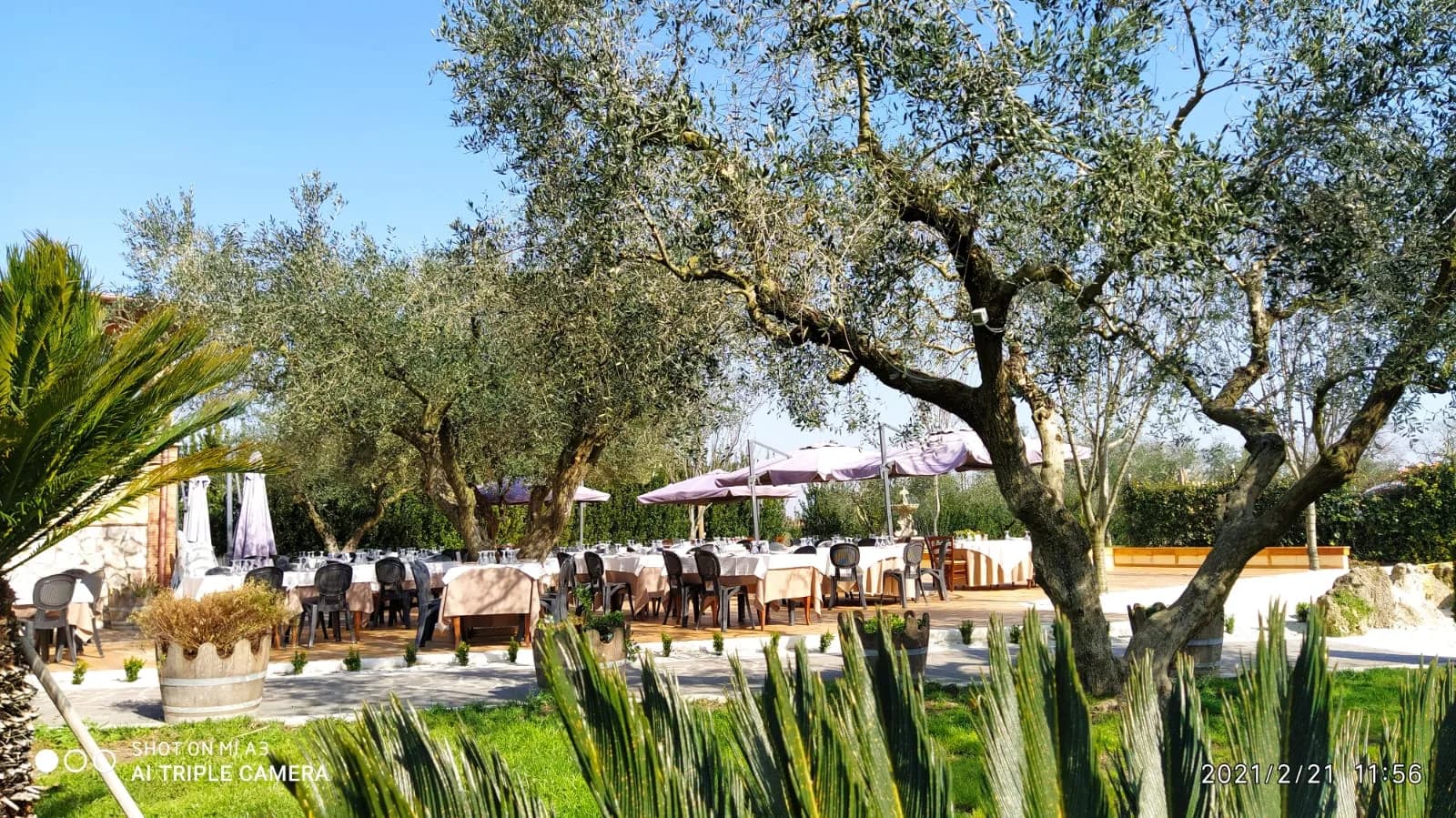 Agriturismo Colle Salomonio
