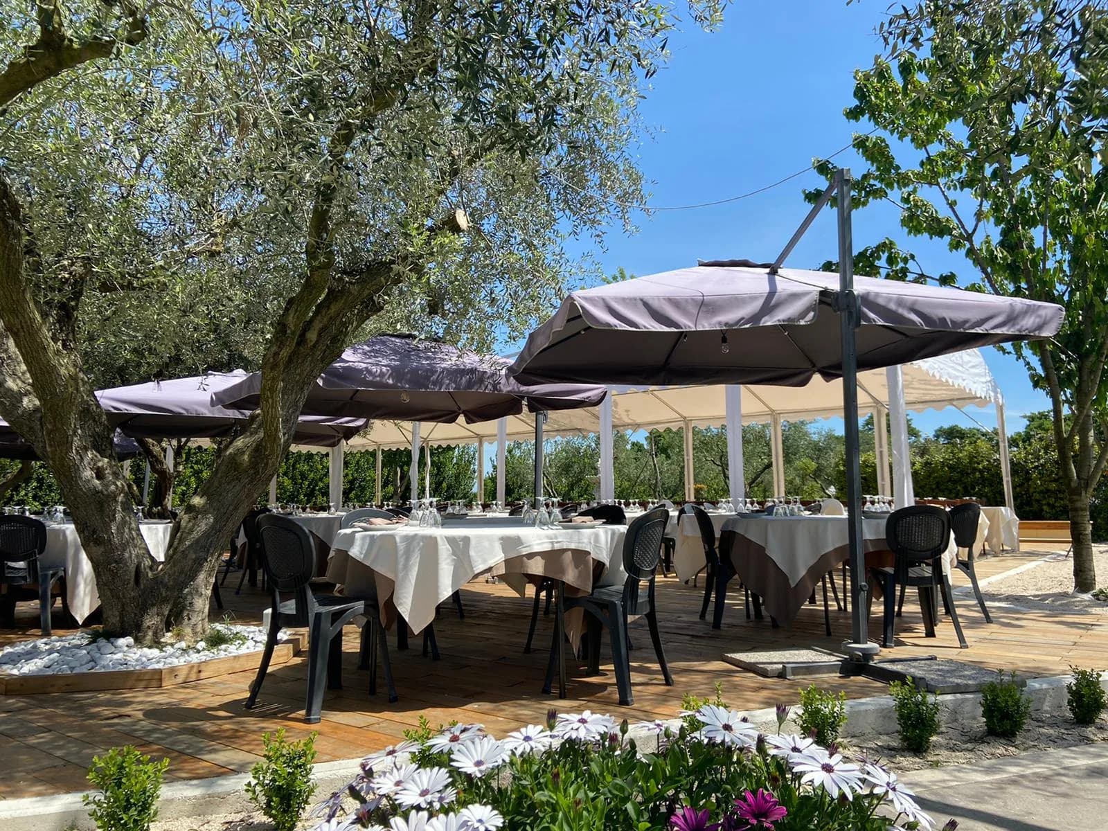 Agriturismo Colle Salomonio