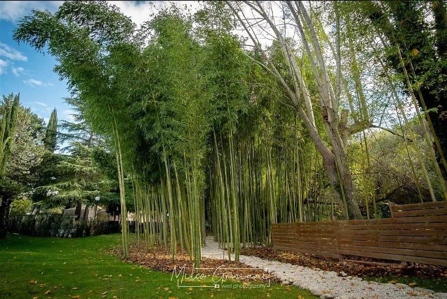 Tenuta La Seminatrice