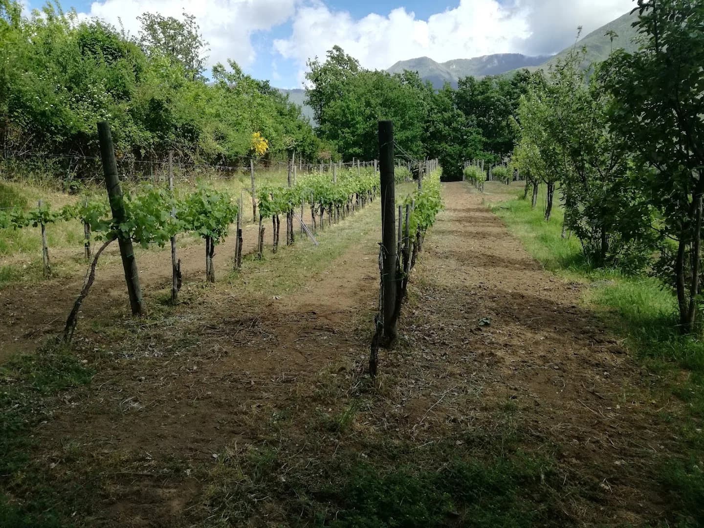 Agriturismo Terranova